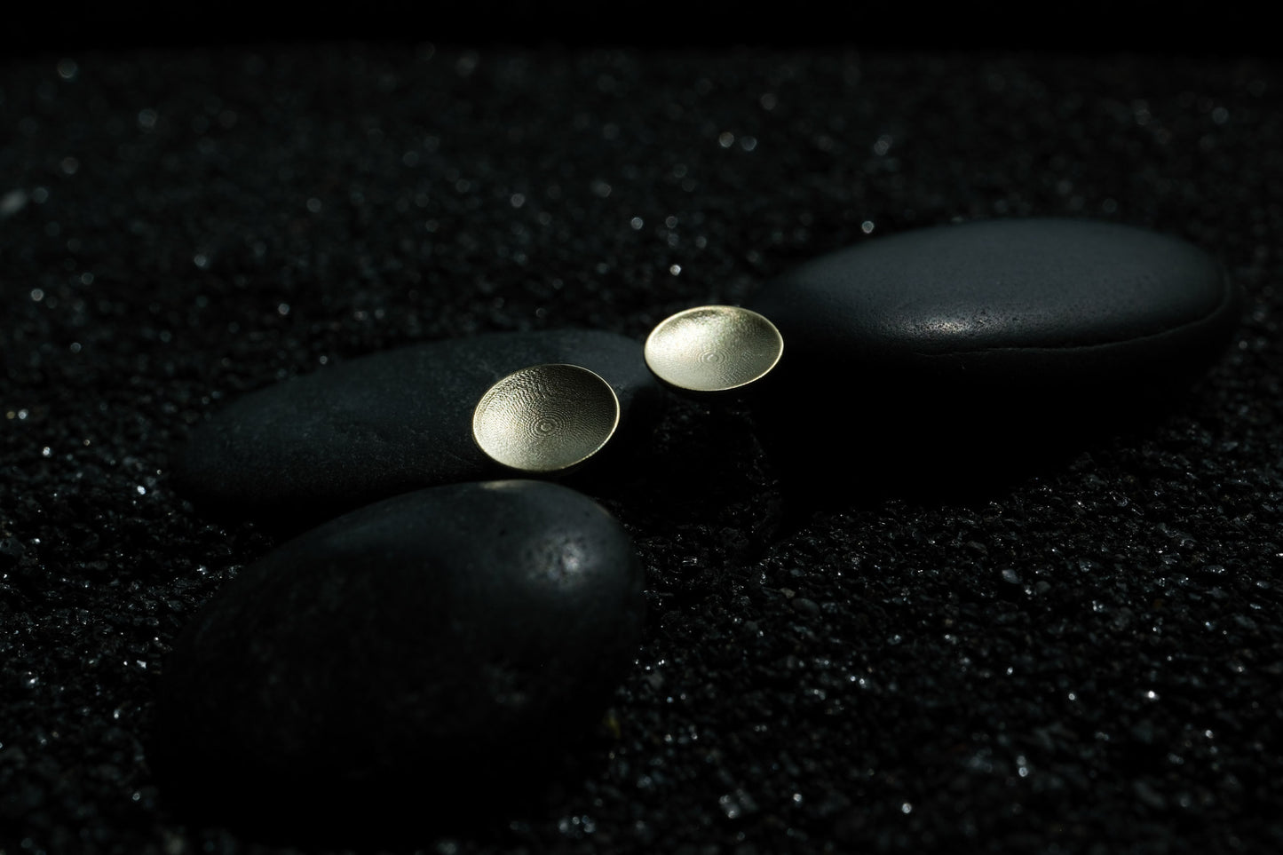 Moonlight 14k Gold Disc Ear Studs